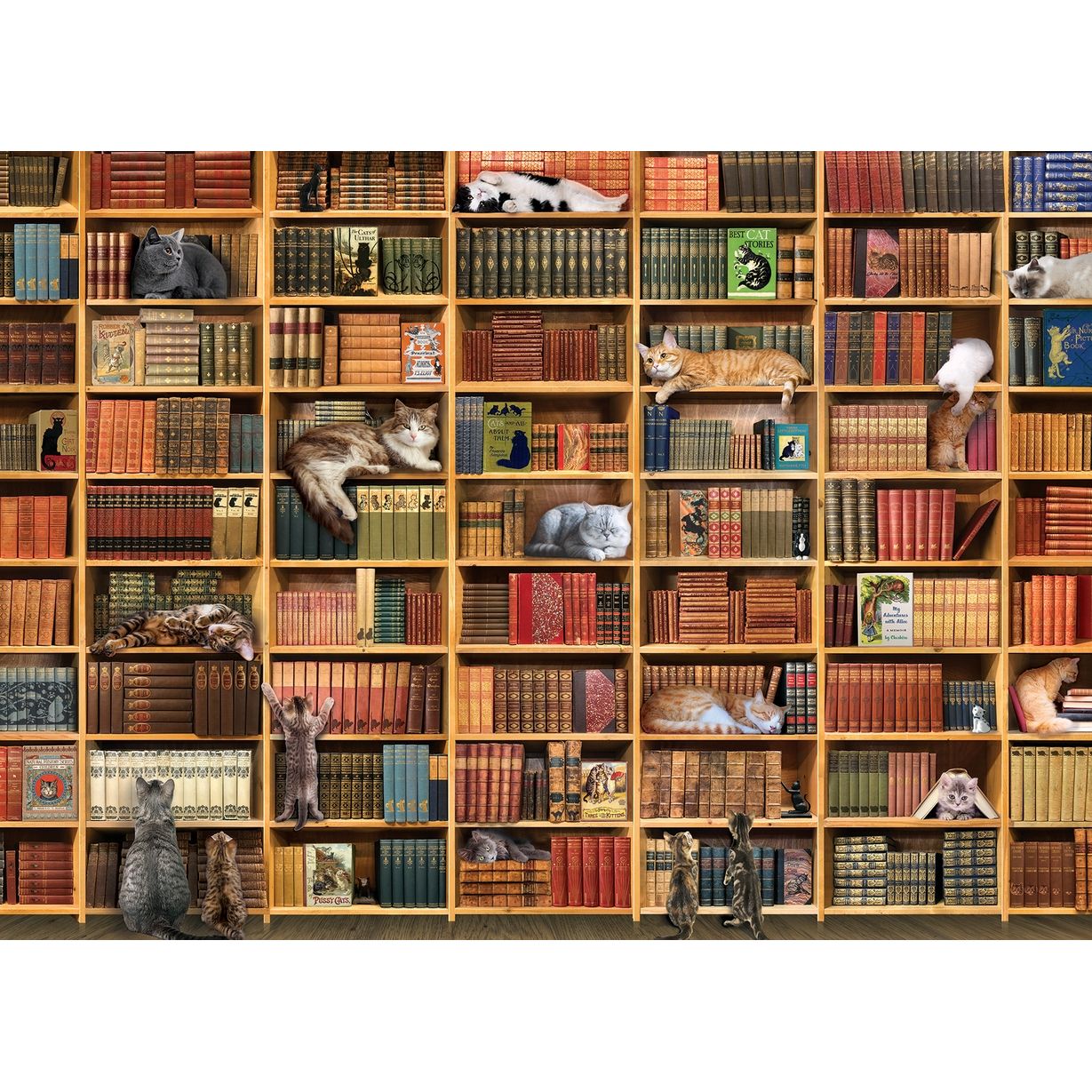 THE CAT LIBRARY 1000PC PUZZLE