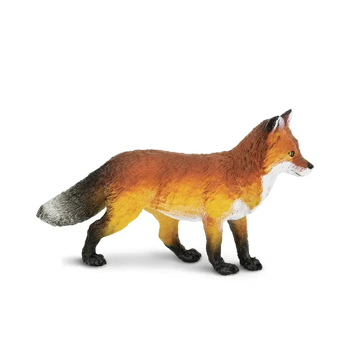 FOX