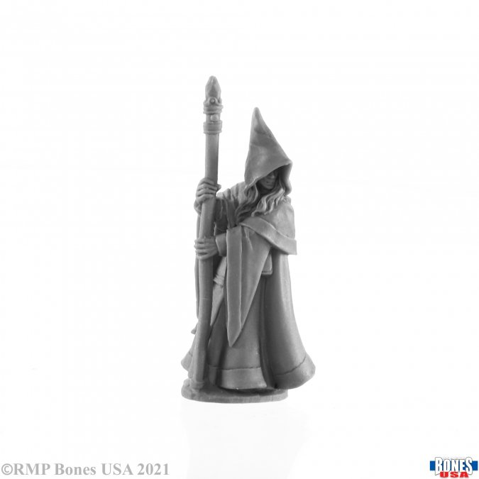 ANIRION ELF WIZARD