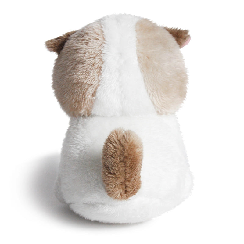 ANGRY CAT PLUSH: RAGDOLL