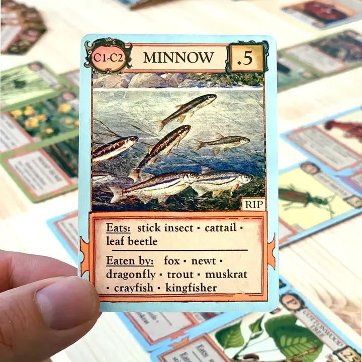 ECOLOGIES CARD GAME BIZARRE BIOMES EXPANSION