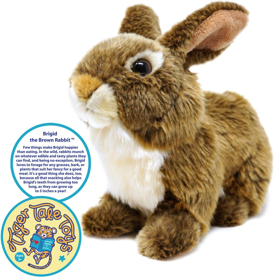 BUNNY RABBIT PLUSH