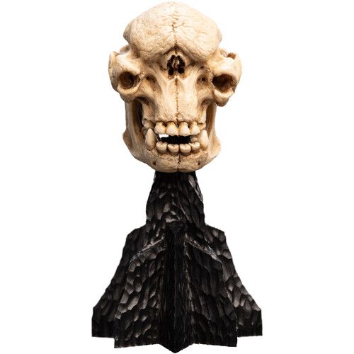 THE LORD OF THE RINGS SKULL OF A CAVE TROLL MINIATURE STATUE