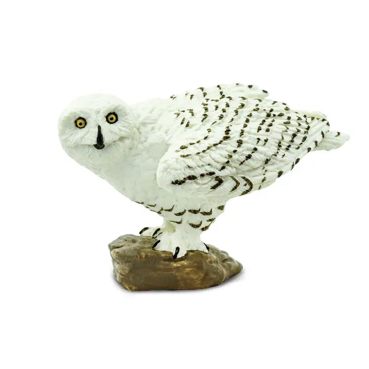 SNOWLY OWL