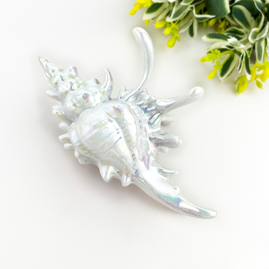 PEARLY SEASHELL HAIR CLAW FOR MERMAID HAIR