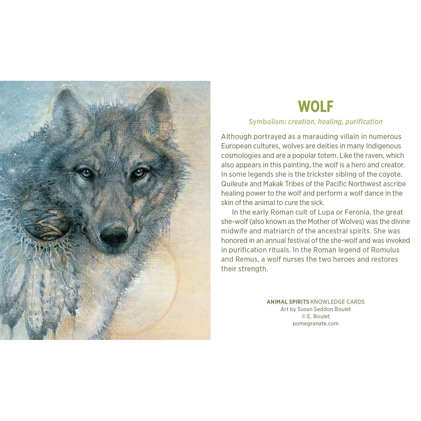 ANIMAL SPIRITS KNOWLEDGE CARDS FEATURING ART BY SUSAN SEDDON BOULET