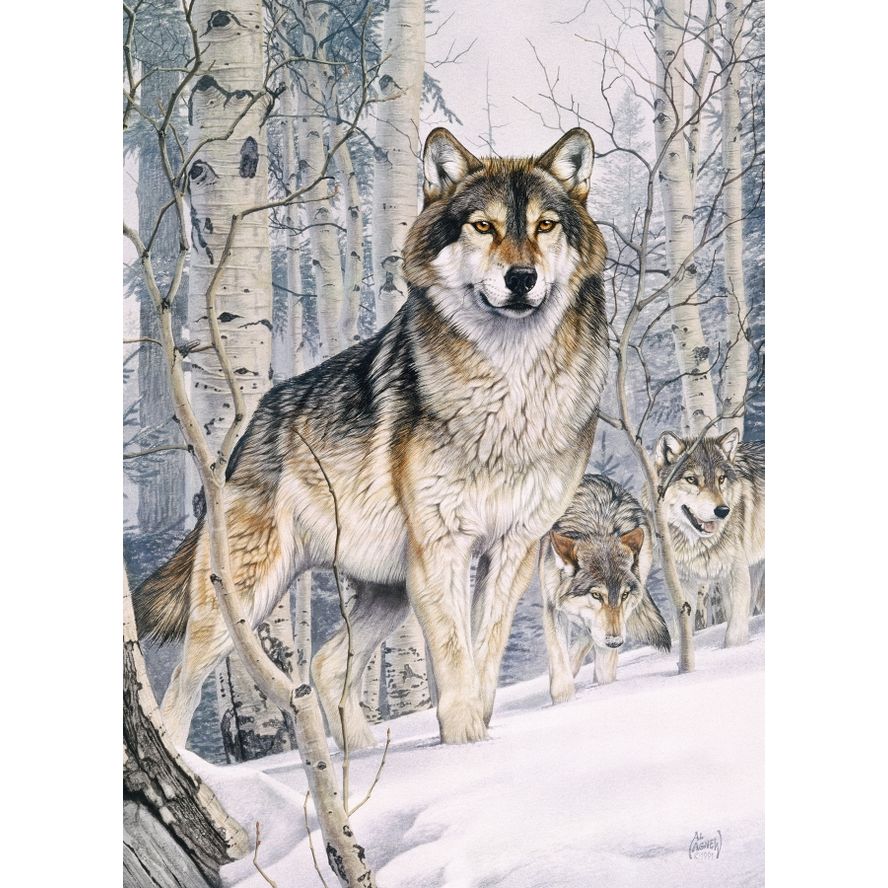SECOND GLANCE 1000PC PUZZLE