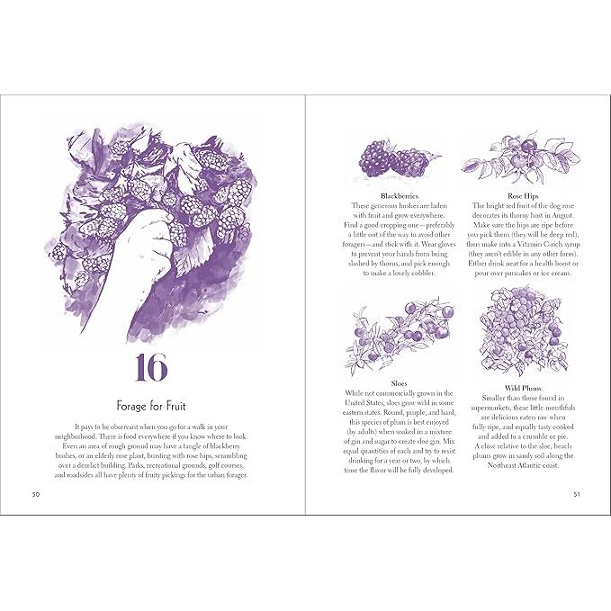 50 THINGS TO DO IN THE URBAN WILD BY CLARE GOGERTY