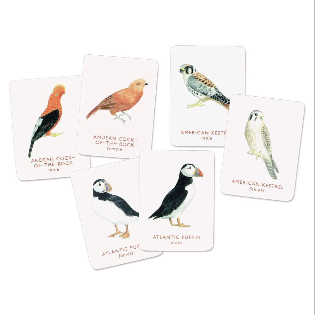 MATCH A PAIR OF BIRDS MEMORY GAME