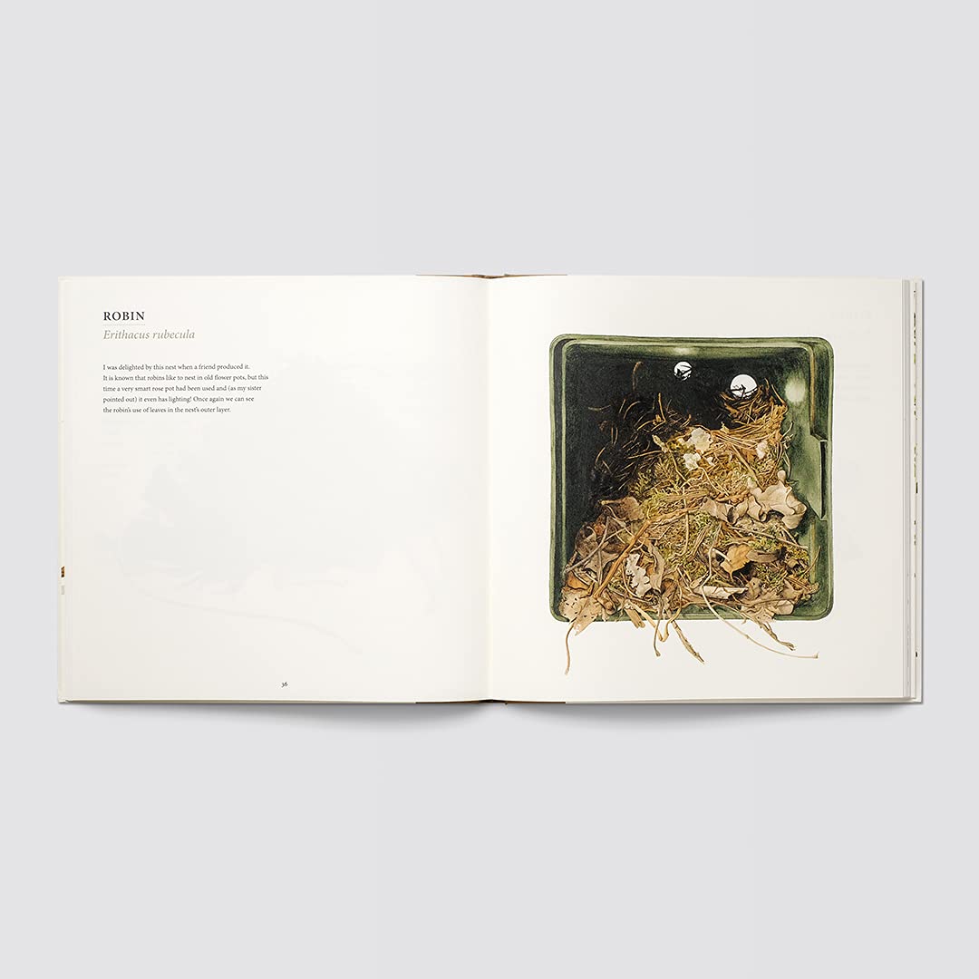 NESTS BY SUSAN OGILVY