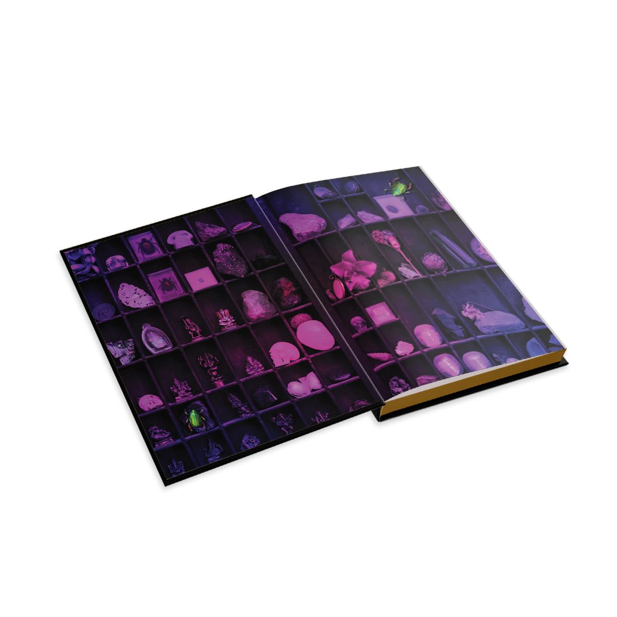 THE LOST APOTHECARY BY SARAH PENNER (COLLECTOR'S EDITION)