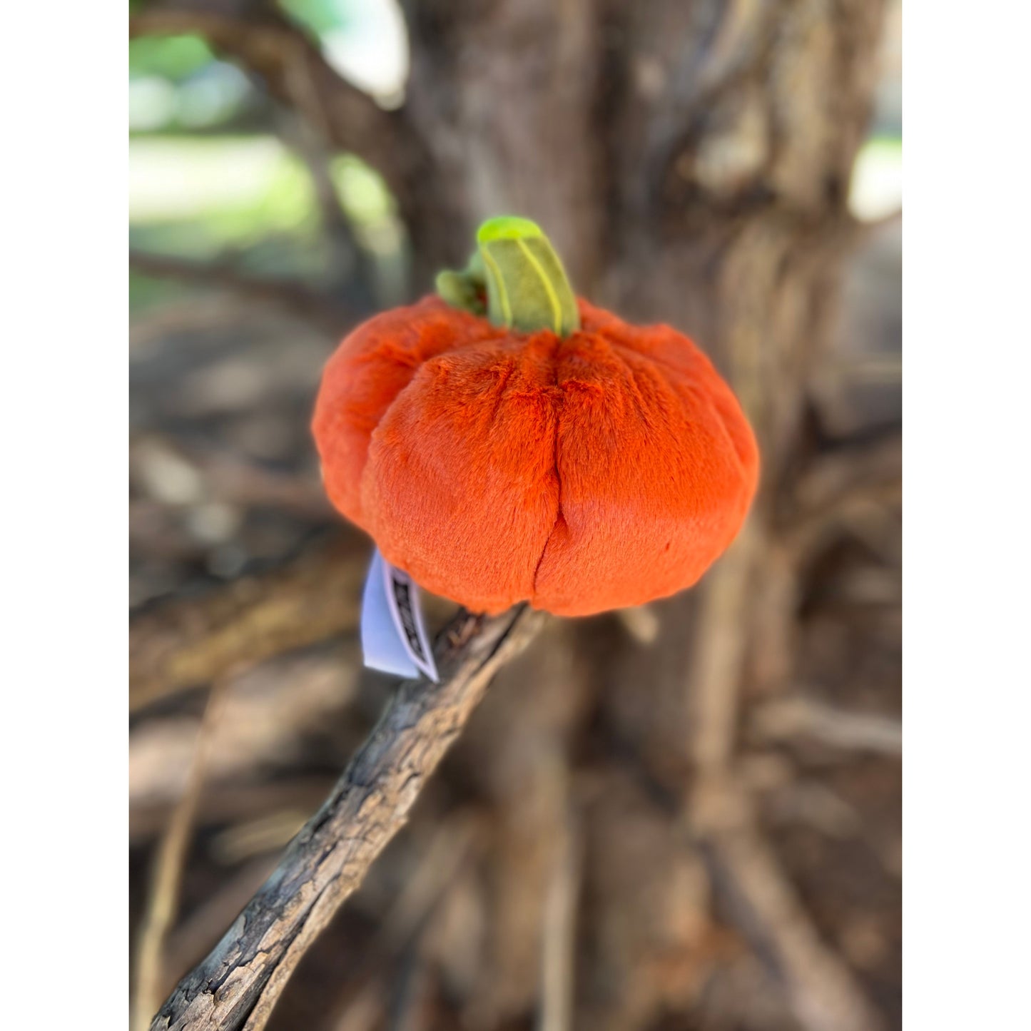 SQUISHABLE SNACKER JACK-O-LANTERN