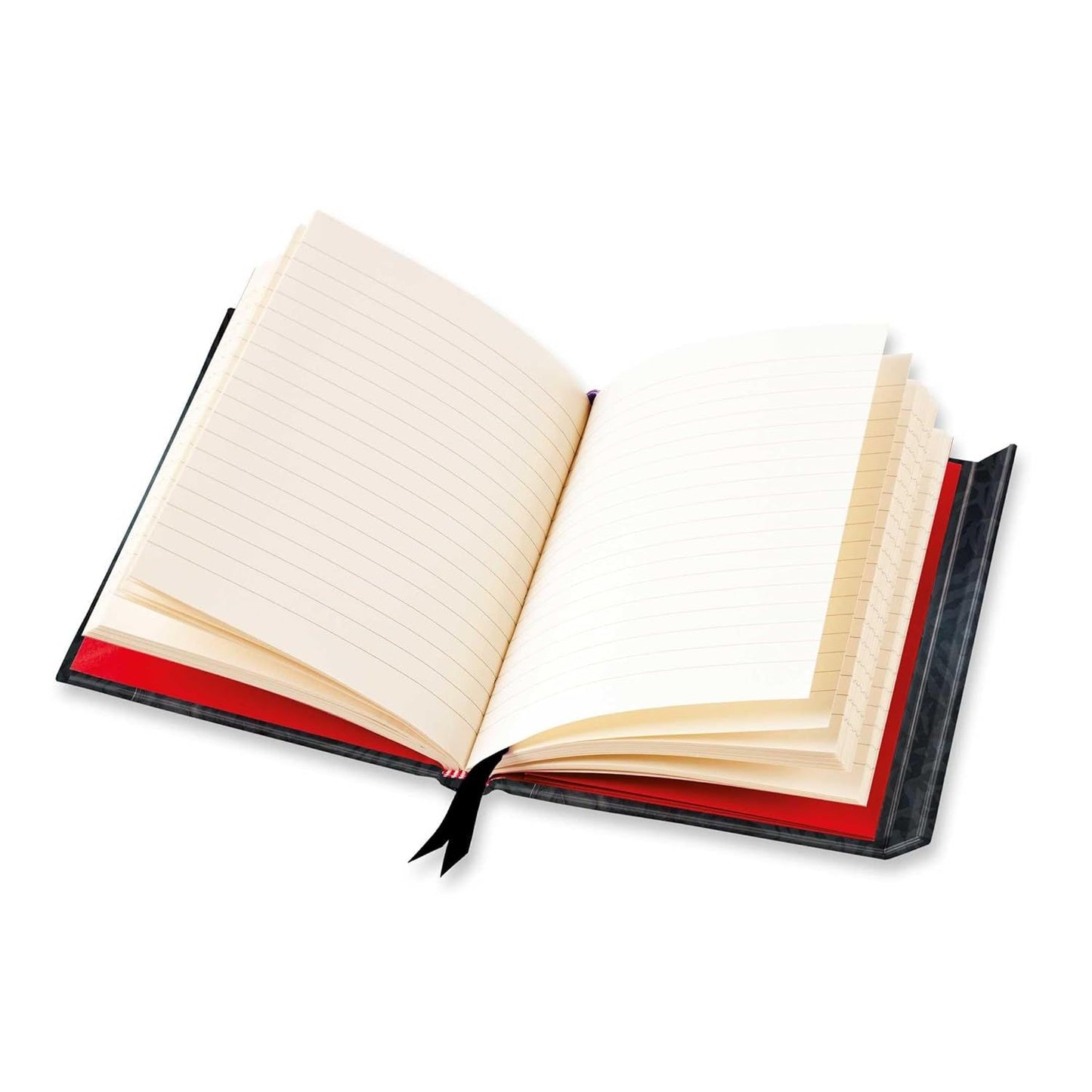 FIERCE DRAGON BLANK JOURNAL