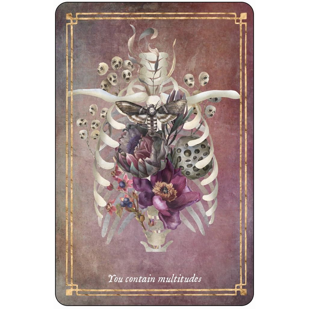 MEMENTO MORI CARDS: 36 CARDS TO EMBRACE LIFE