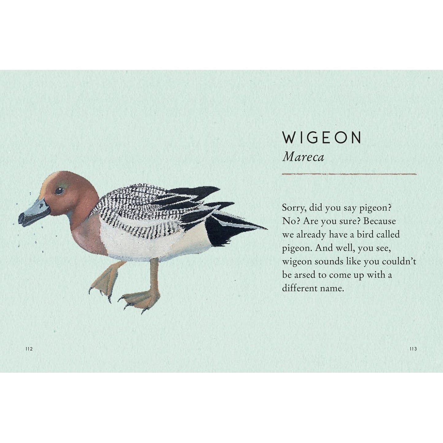 TITS, BOOBIES, AND LOONS BY STU ROYALL