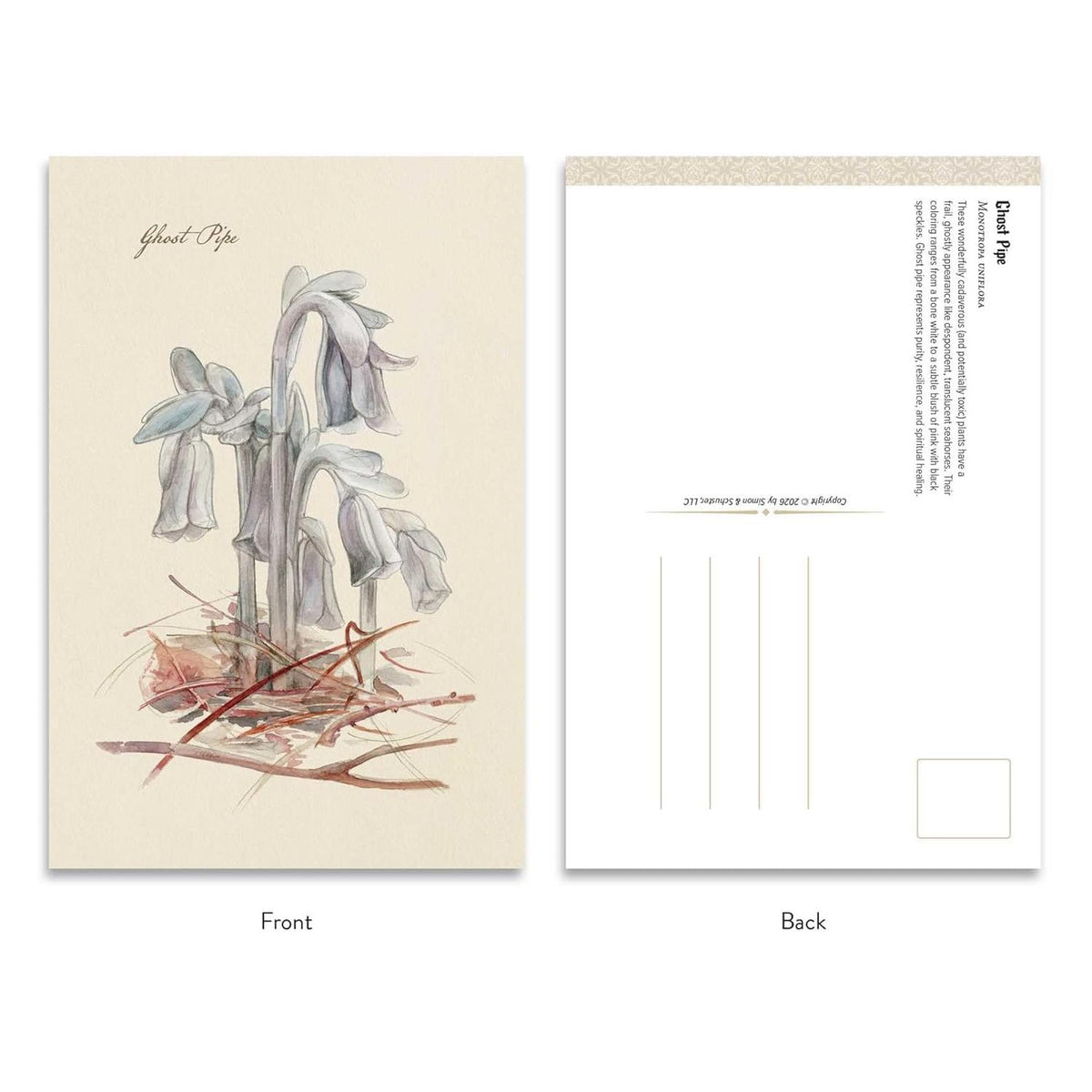 THE GOTH GARDENS: DARK BLOOMS POSTCARDS BY FELICIA FEASTER AND IRINA VINNIK