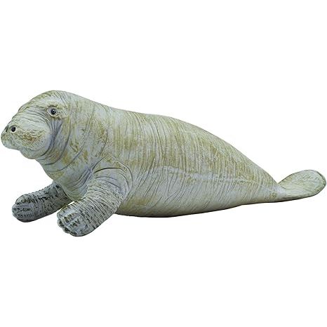 MANATEE
