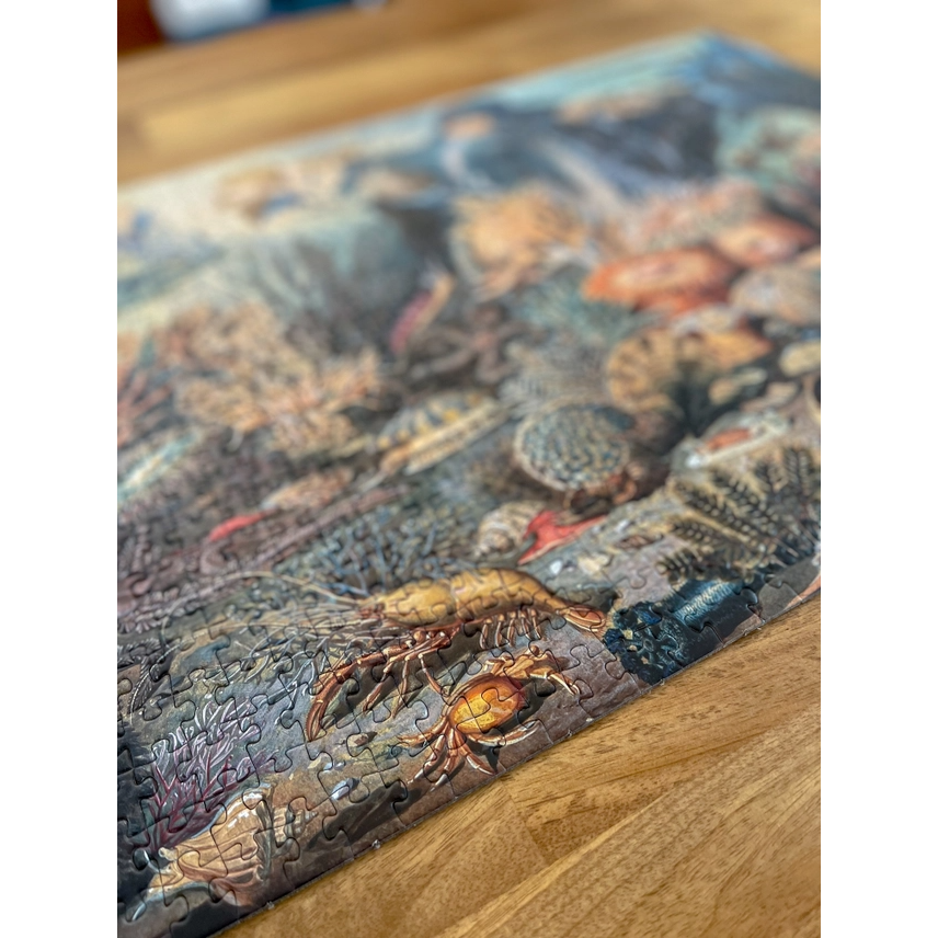 HIDDEN HABITAT PUZZLE 1000PC