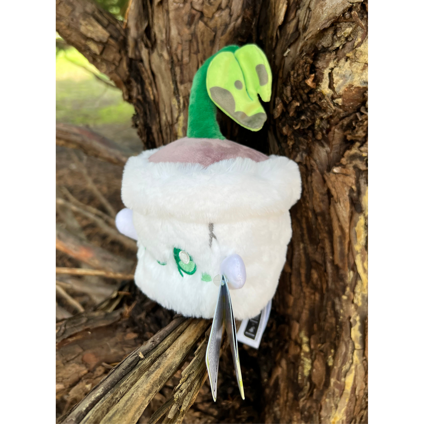 SQUISHABLE ALTER EGO GHOST PLANT