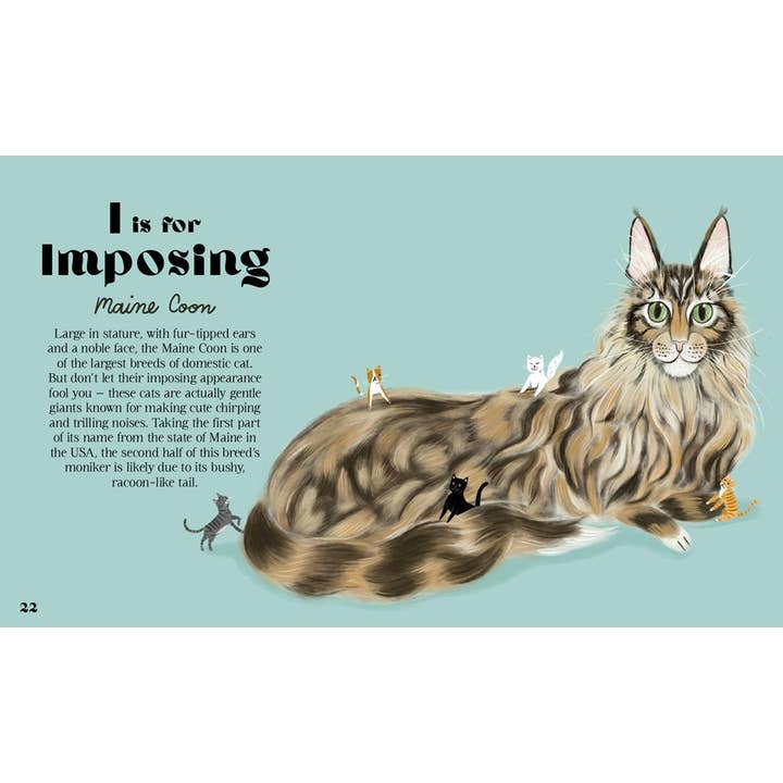 CATPHABET: A CAT ALPHABET BY JO STEWART
