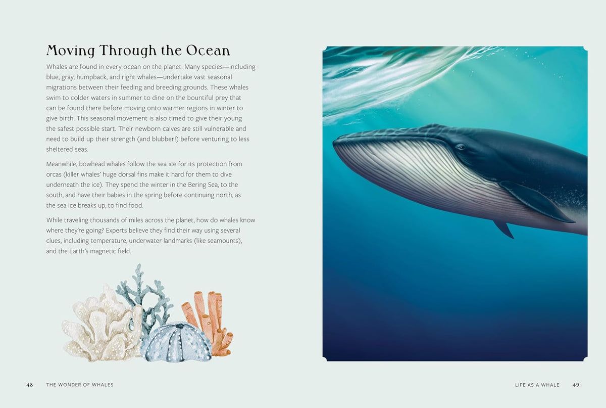 THE WONDER OF WHALES: DISCOVER THE LIVES OF EARTH'S MOST MAJESTIC GIANTS BY MELISSA HOBSON