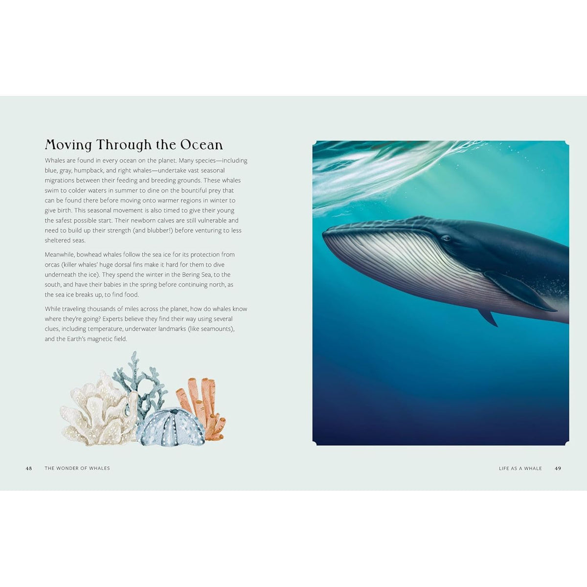 THE WONDER OF WHALES: DISCOVER THE LIVES OF EARTH'S MOST MAJESTIC GIANTS BY MELISSA HOBSON