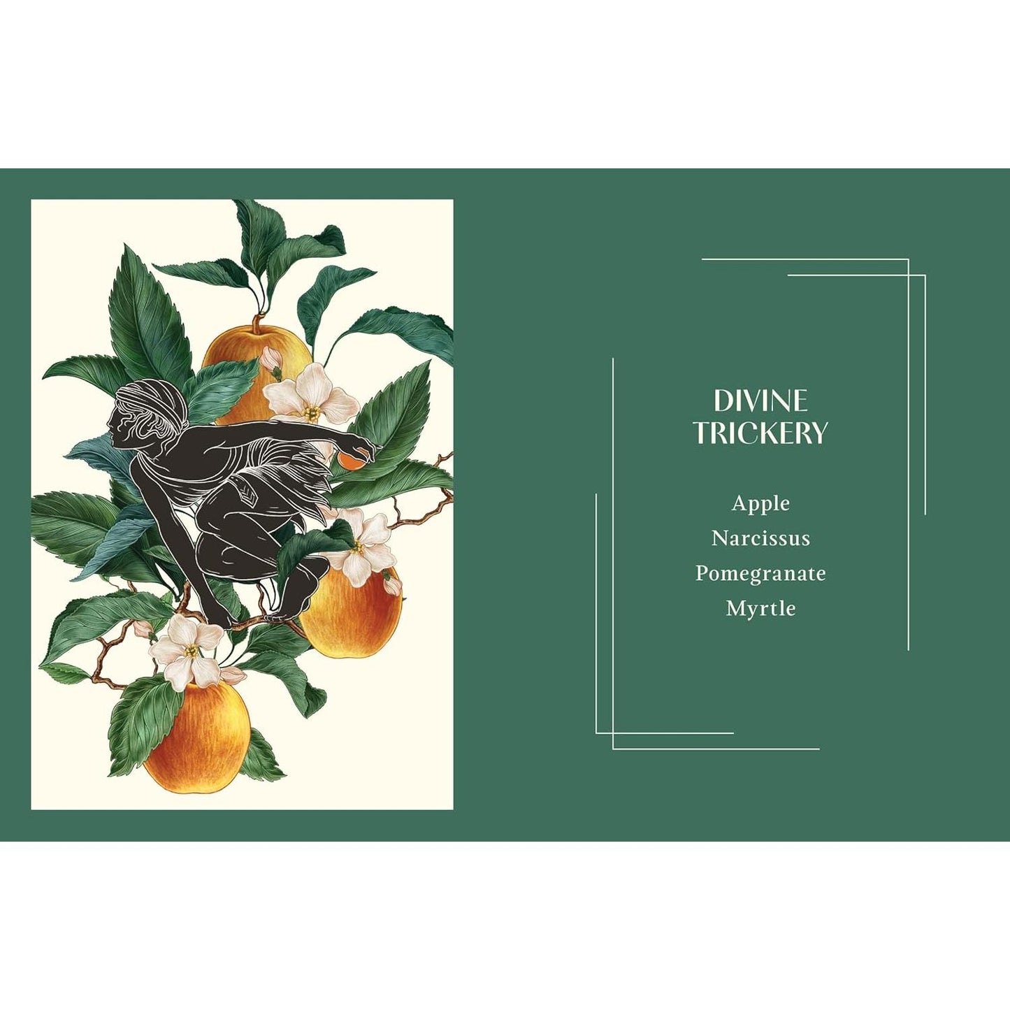 MYTHIC PLANTS BY ELLEN ZACHOS