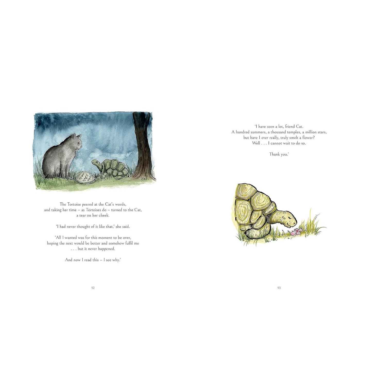 THE CAT WHO TAUGHT ZEN BY JAMES NORBURY