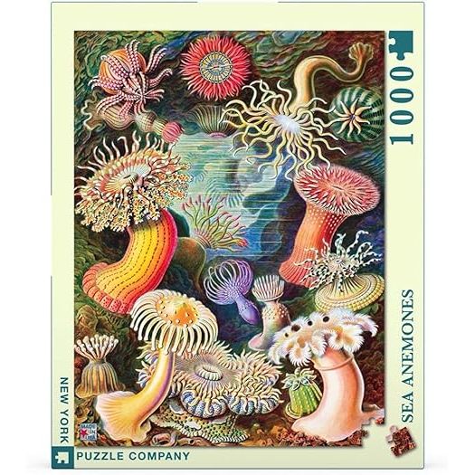 SEA ANEMONES 1000PC PUZZLE