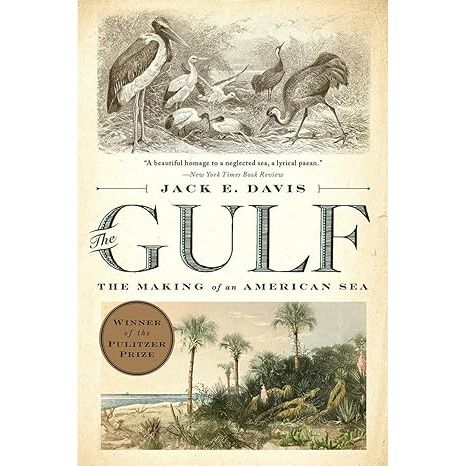 THE GULF: THE MAKING OF AN AMERICAN SEA BY JACK E. DAVIS
