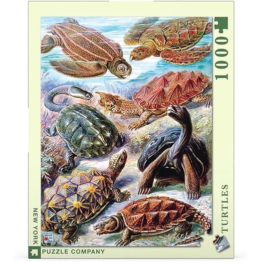 TURTLES 1000PC PUZZLE