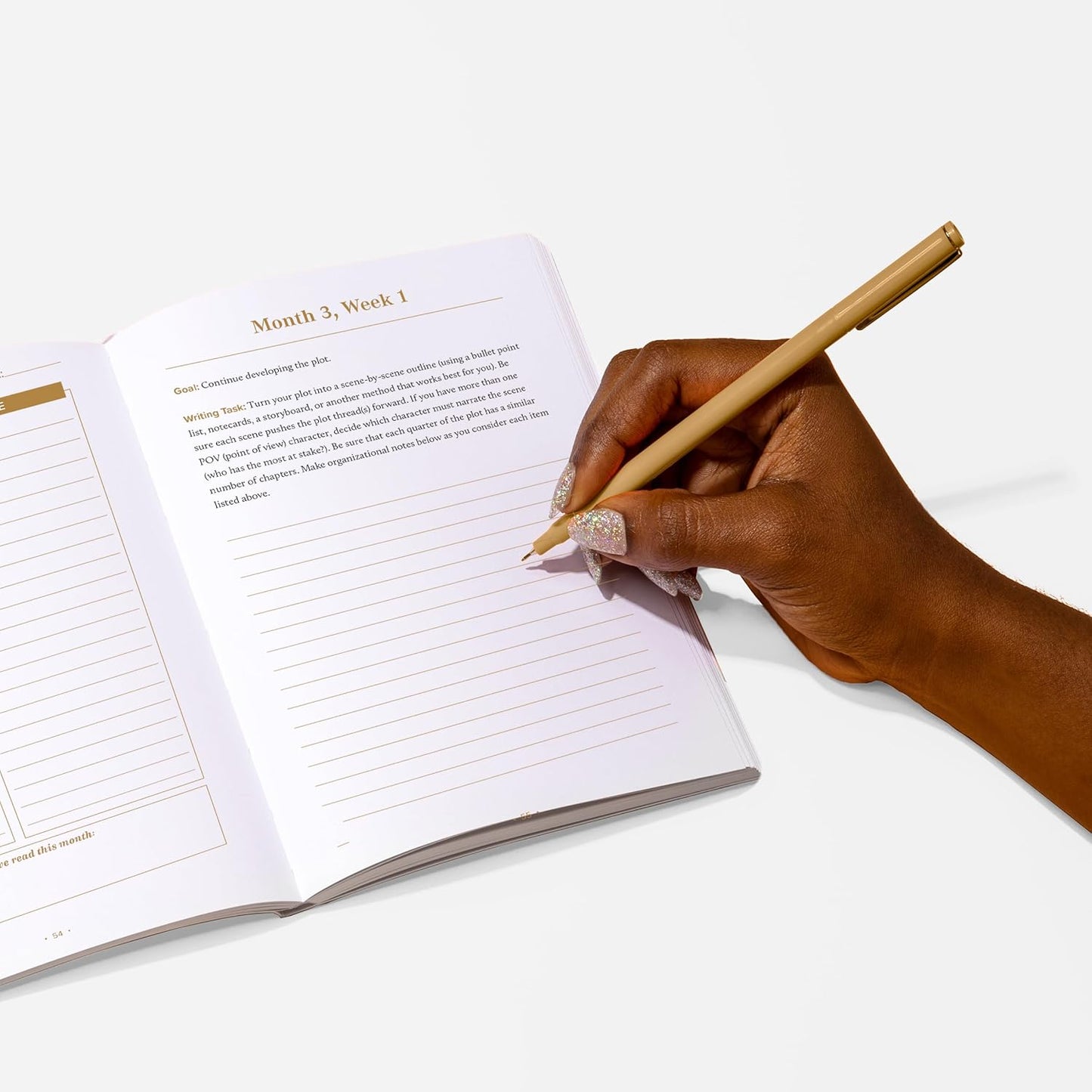 THE STORYTELLER'S JOURNAL