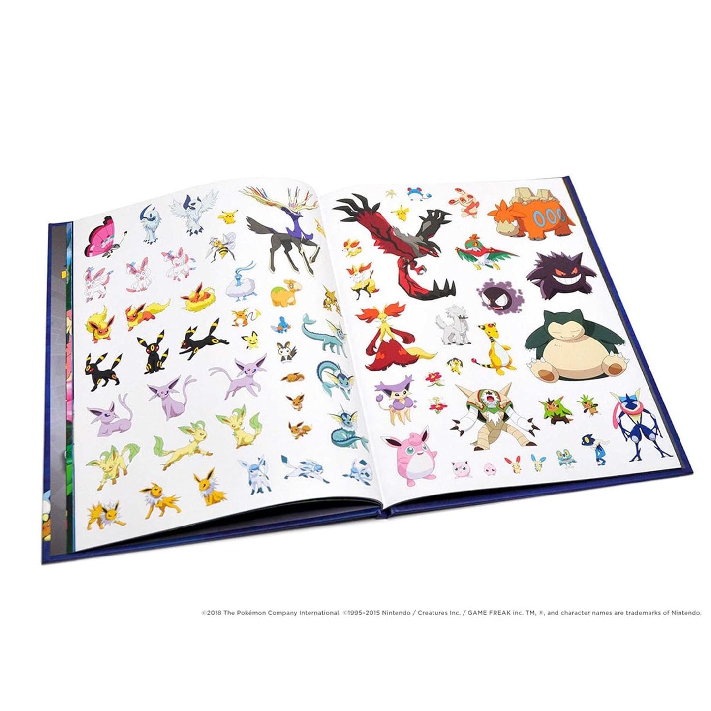 POKEMON SEEK AND FIND: PIKACHU
