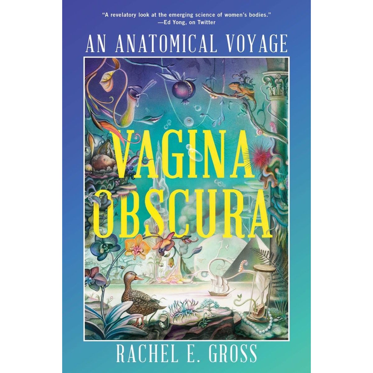 VAGINA OBSCURA BY RACHEL E. GROSS