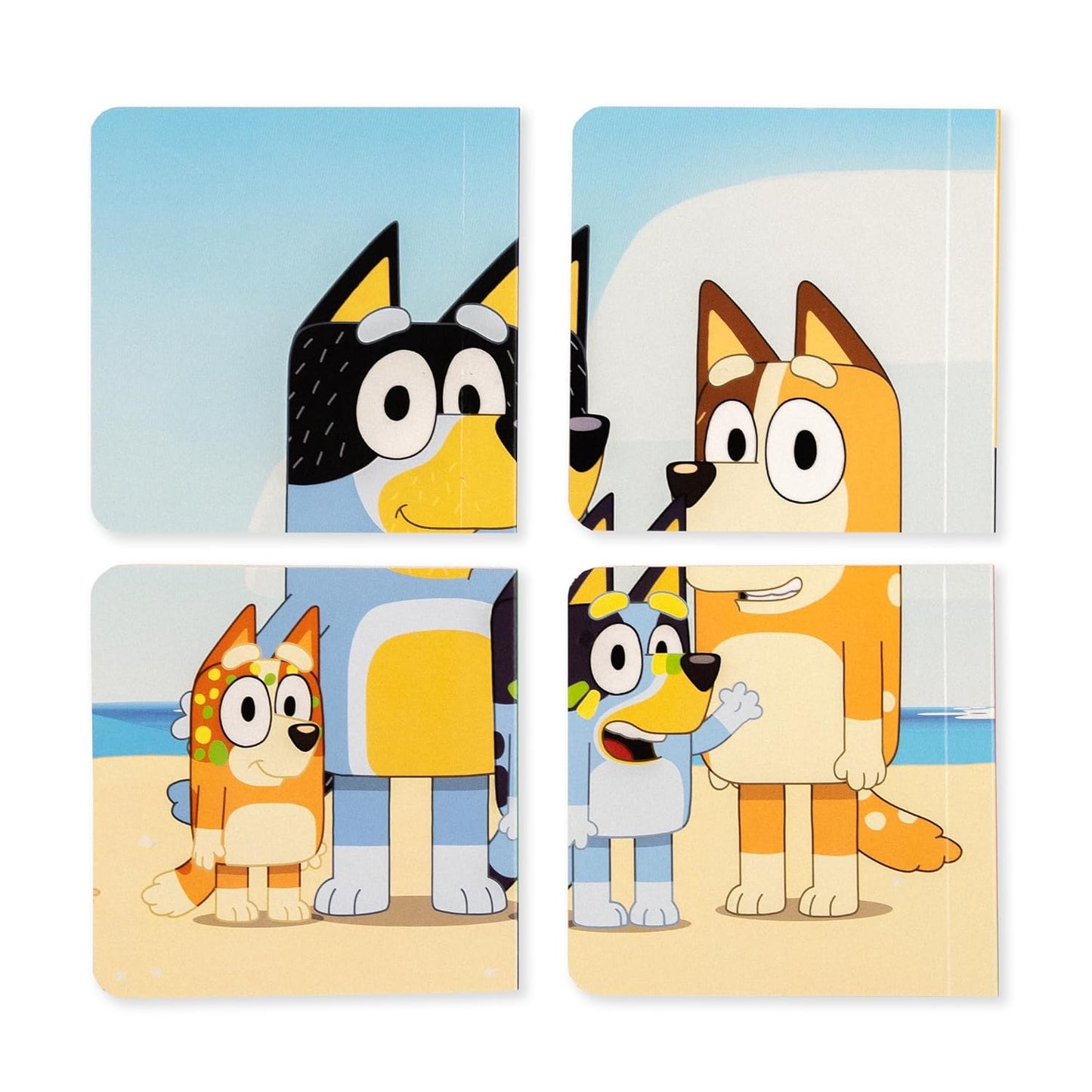 BLUEY: LITTLE LIBRARY