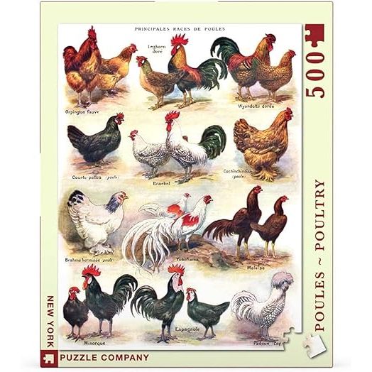 POULES-POULTRY 500PC PUZZLE