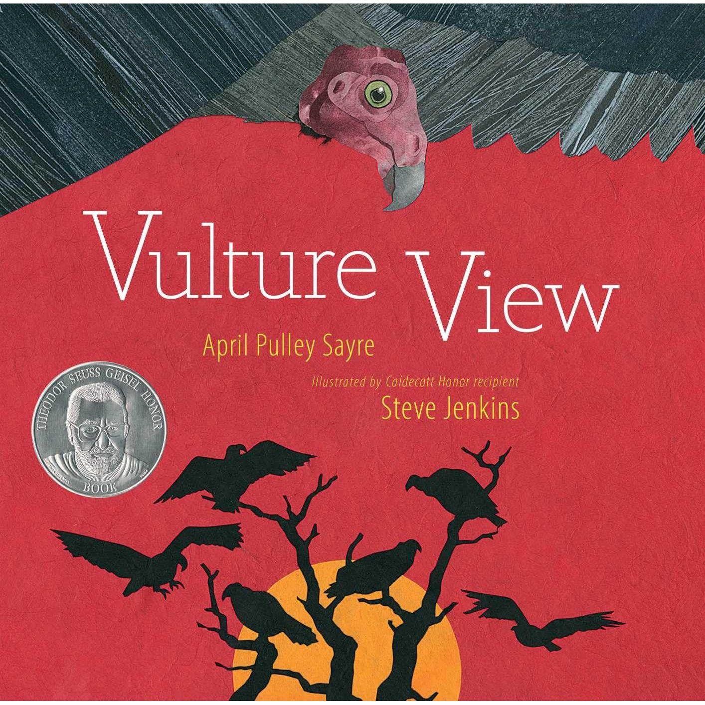 VULTURE VIEW BY APRIL PULLEY SAYRE AND ILLUSTRATED BY STEVE JENKINS