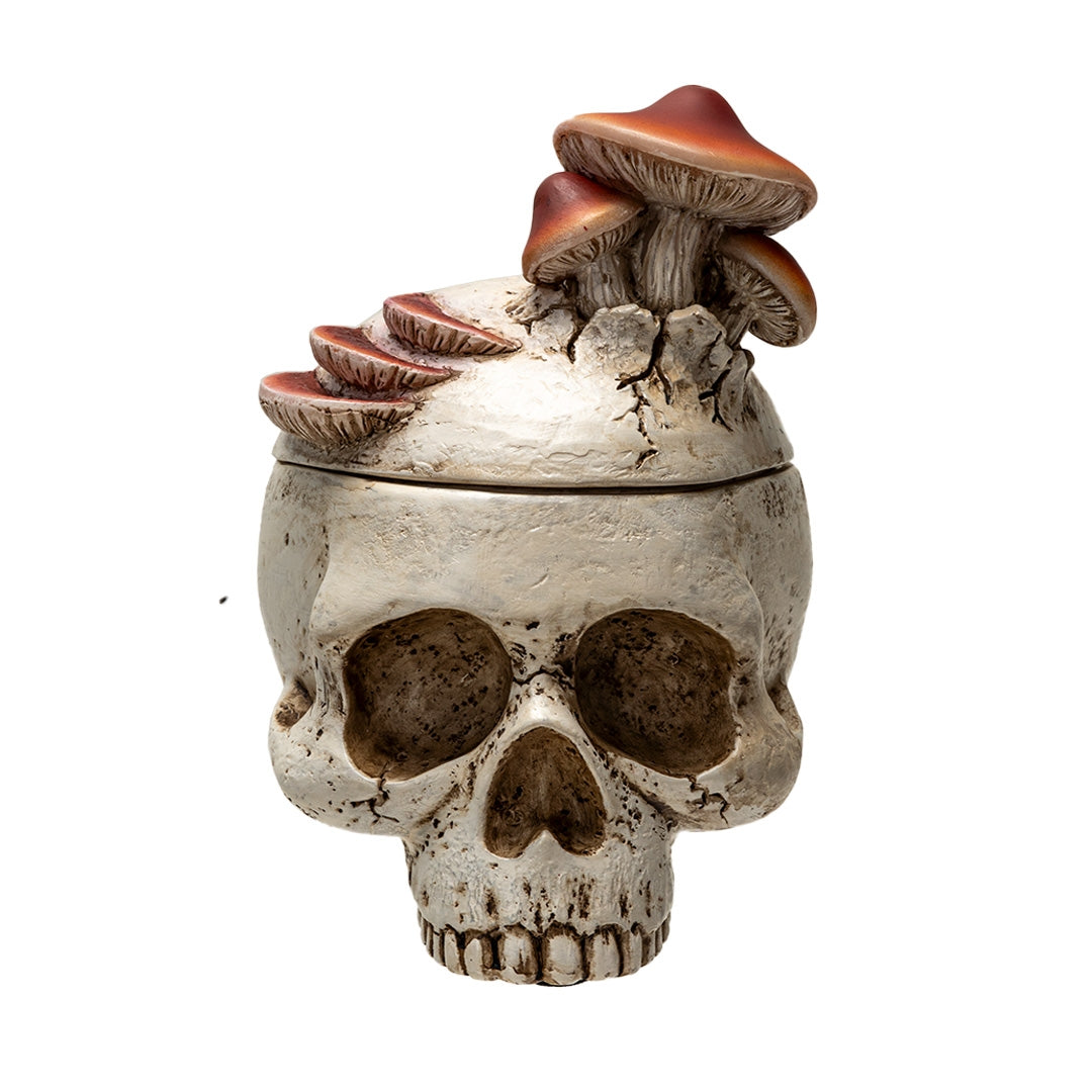MUSHROOM SKULL BOX