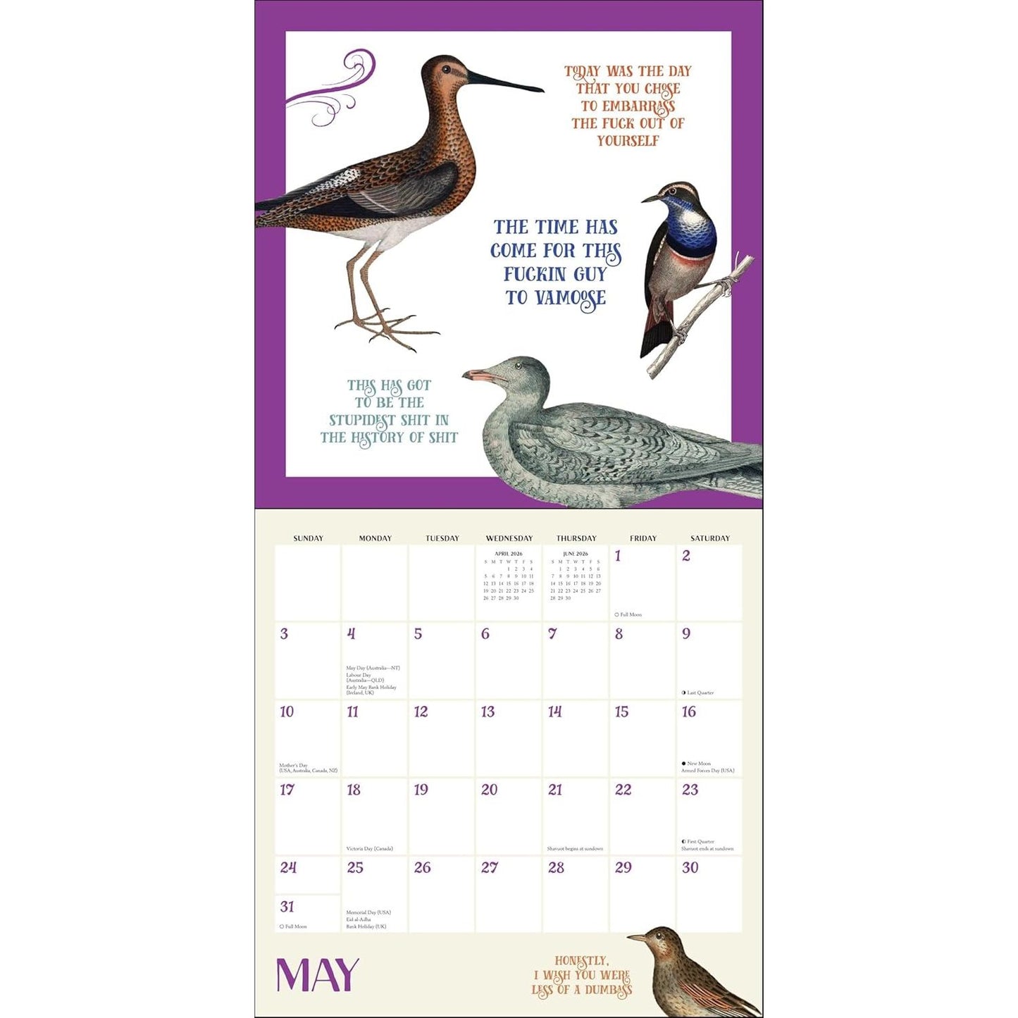 EFFIN' BIRDS WALL CALENDAR 2026