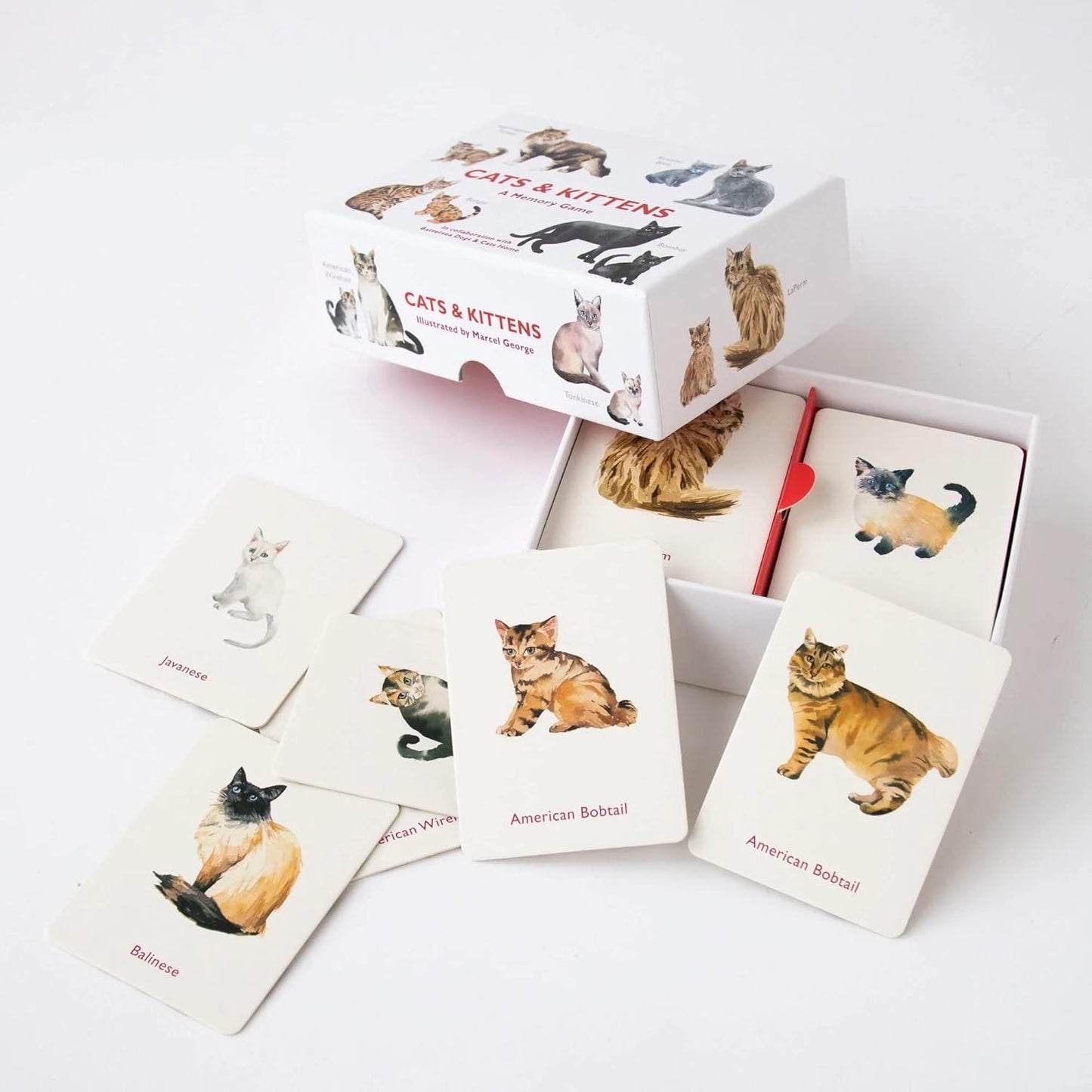 CATS AND KITTENS MEMORY GAME