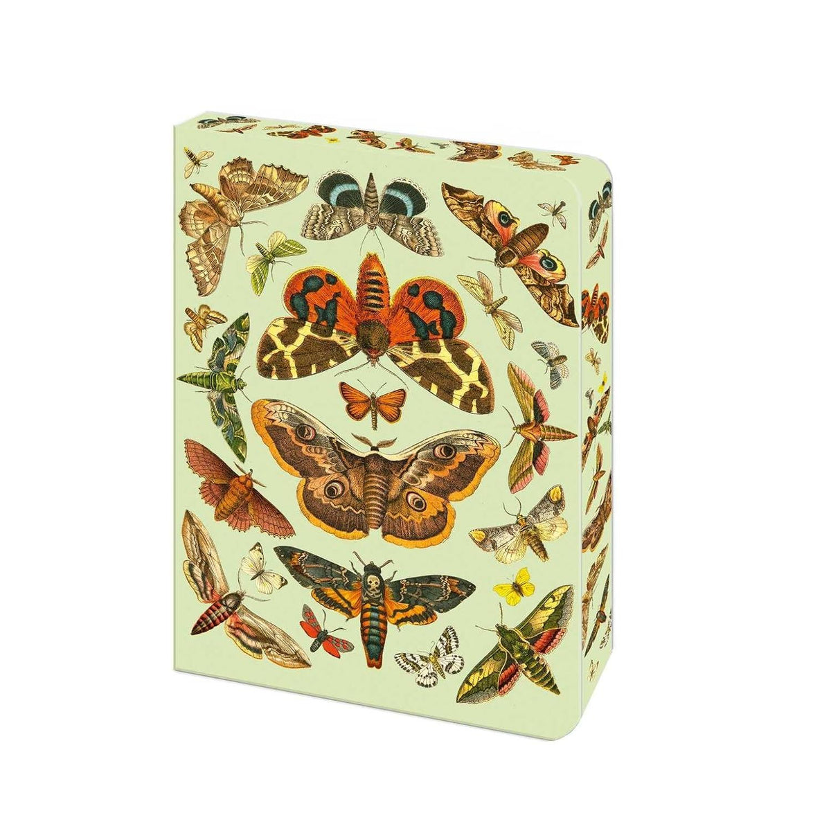 THE MOTH JOURNAL: BLANK LINED NOTEBOOK