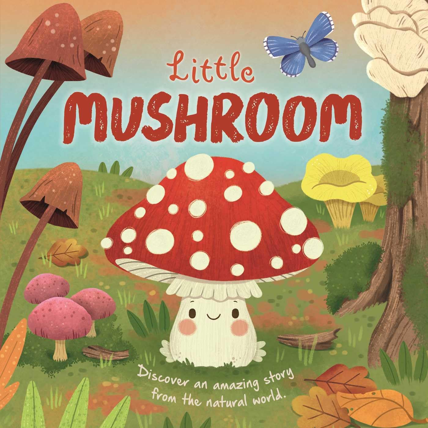 NATURE STORIES: LITTLE MUSHROOM (BOARD BOOK)