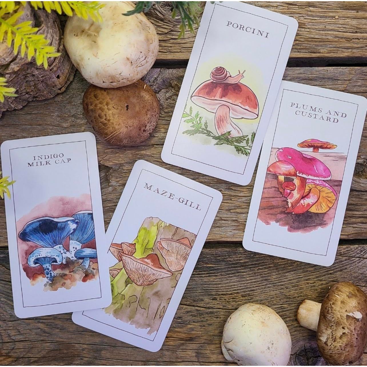 MUSHROM SPOTTER'S DECK; A FIELD GUIDE TO FUNGI AND THEIR AGE OLD WISDOM BY MEGAN LYNN SCOTT