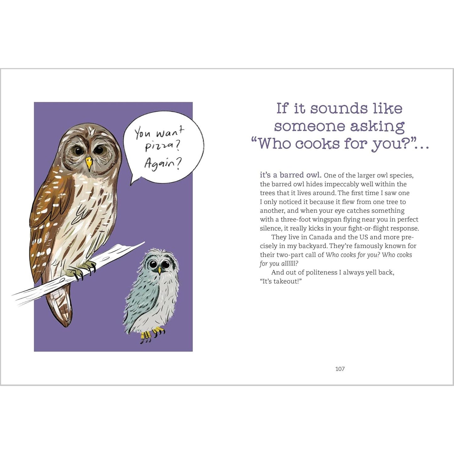 BIRD TALK: HILARIOUSLY ACCURATE WAYS TO IDENTIFY BIRDS BY THE SOUND THEY MAKE BY BECCA ROWLAND
