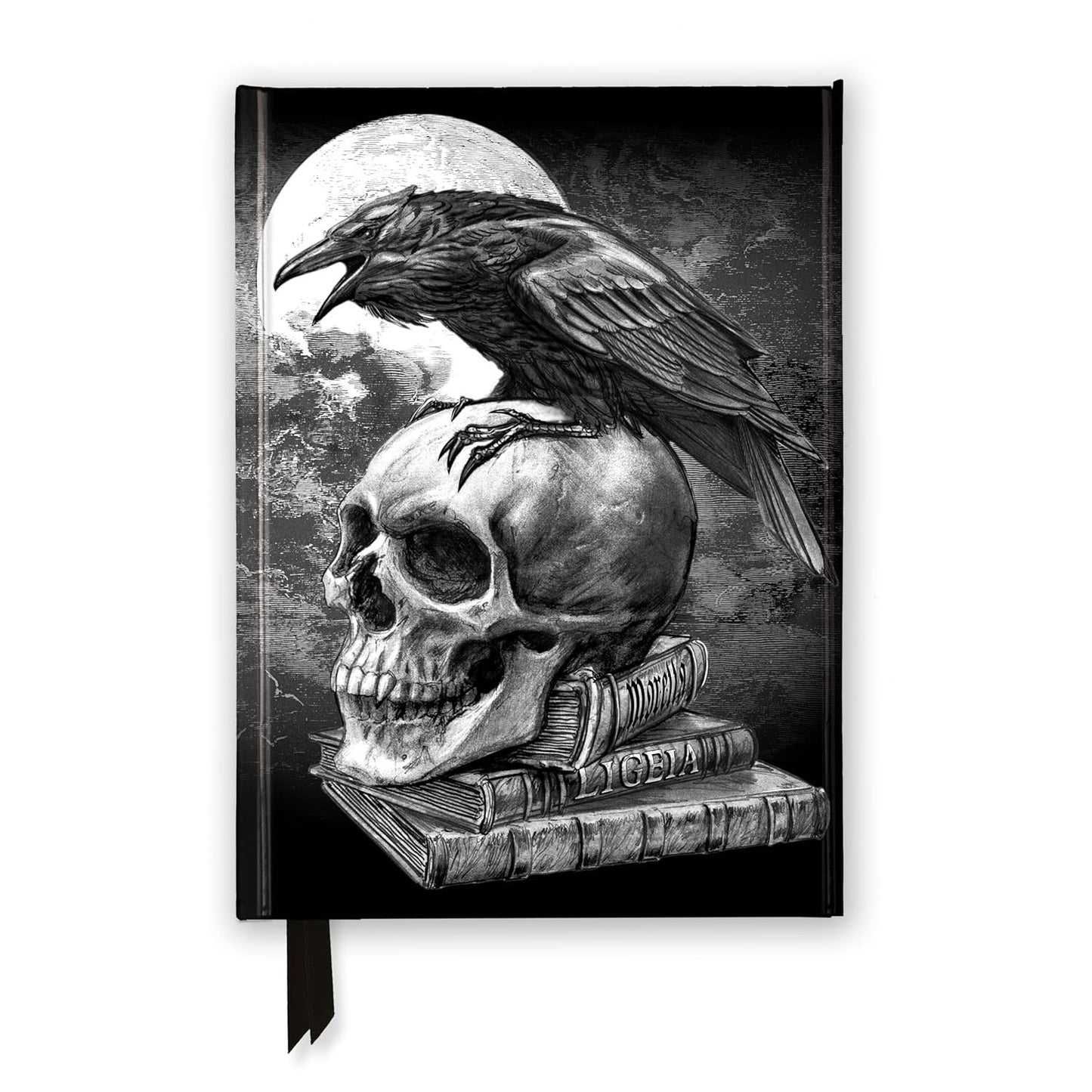 POE'S RAVEN BLANK BOOK