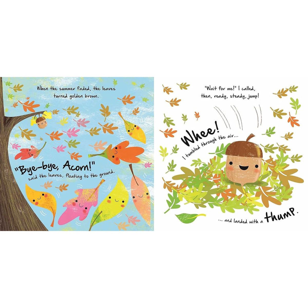 NATURES STORIES: LITTLE ACORN BY IGLOOBOOKS AND GISELA BOHÓRQUEZ