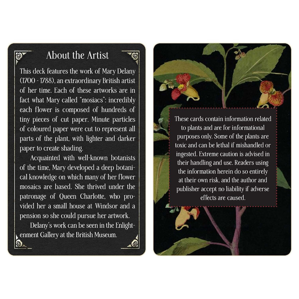 MAGIC FROM THE MIDNIGHT GARDEN