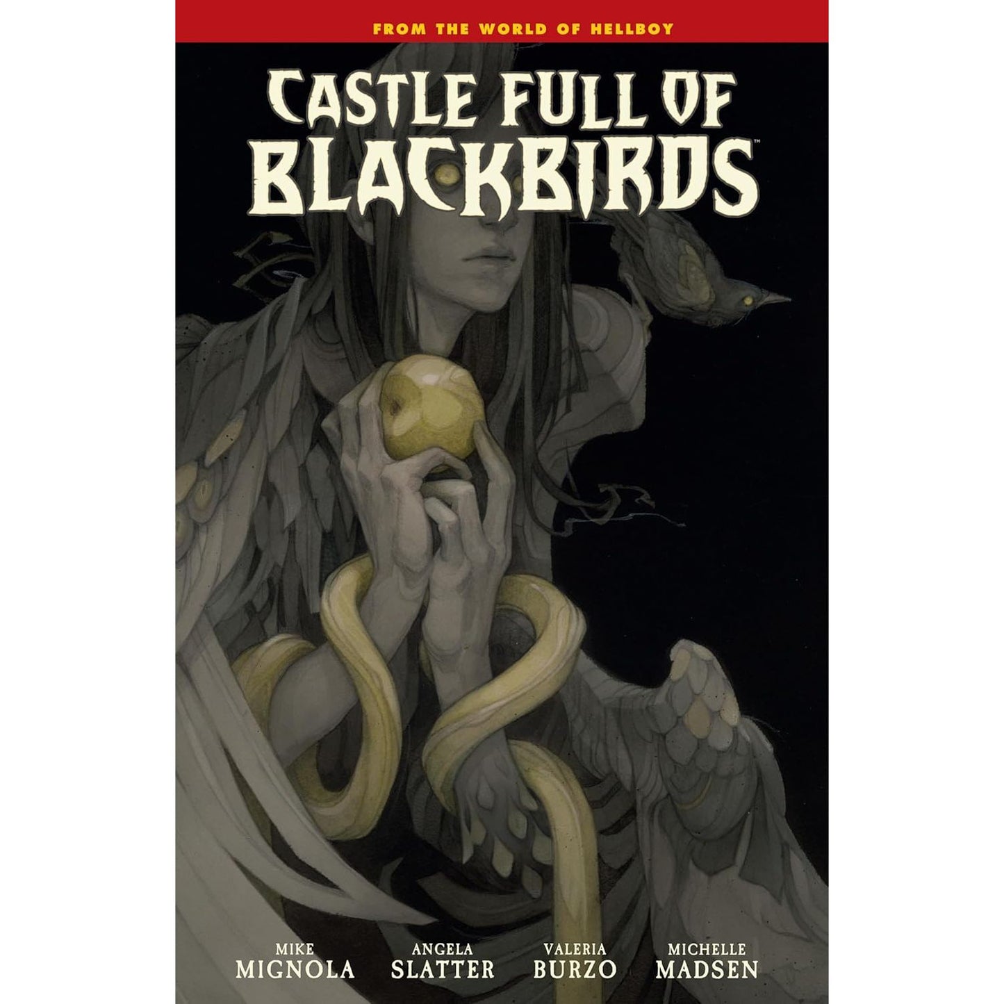 CASTLE FULL OF BLACKBIRDS GRAPHIC NOVEL
