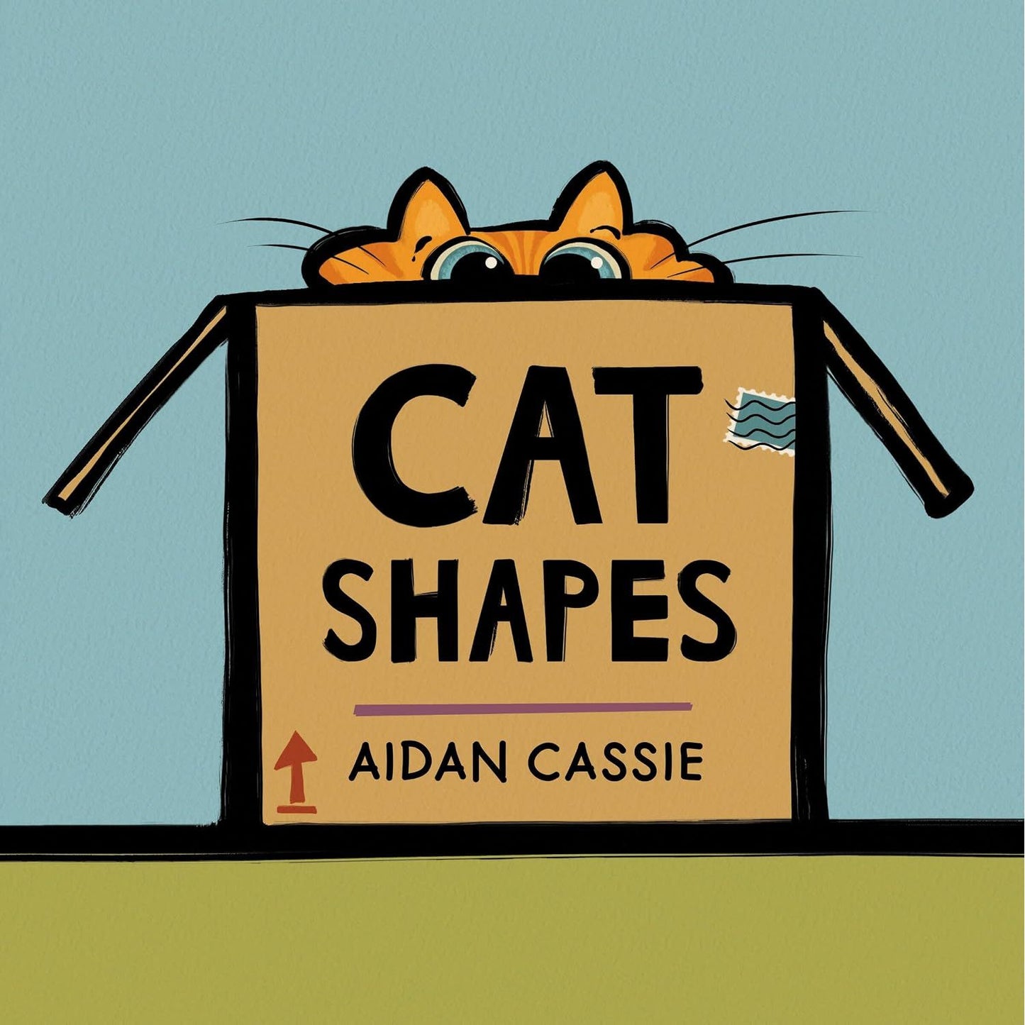 CAT SHAPES BY AIDAN CASSIE