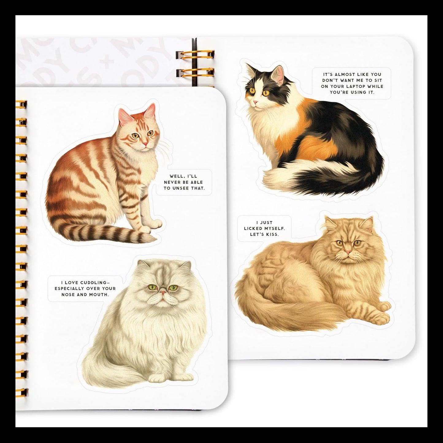 MOODY CATS STICKER BOOK